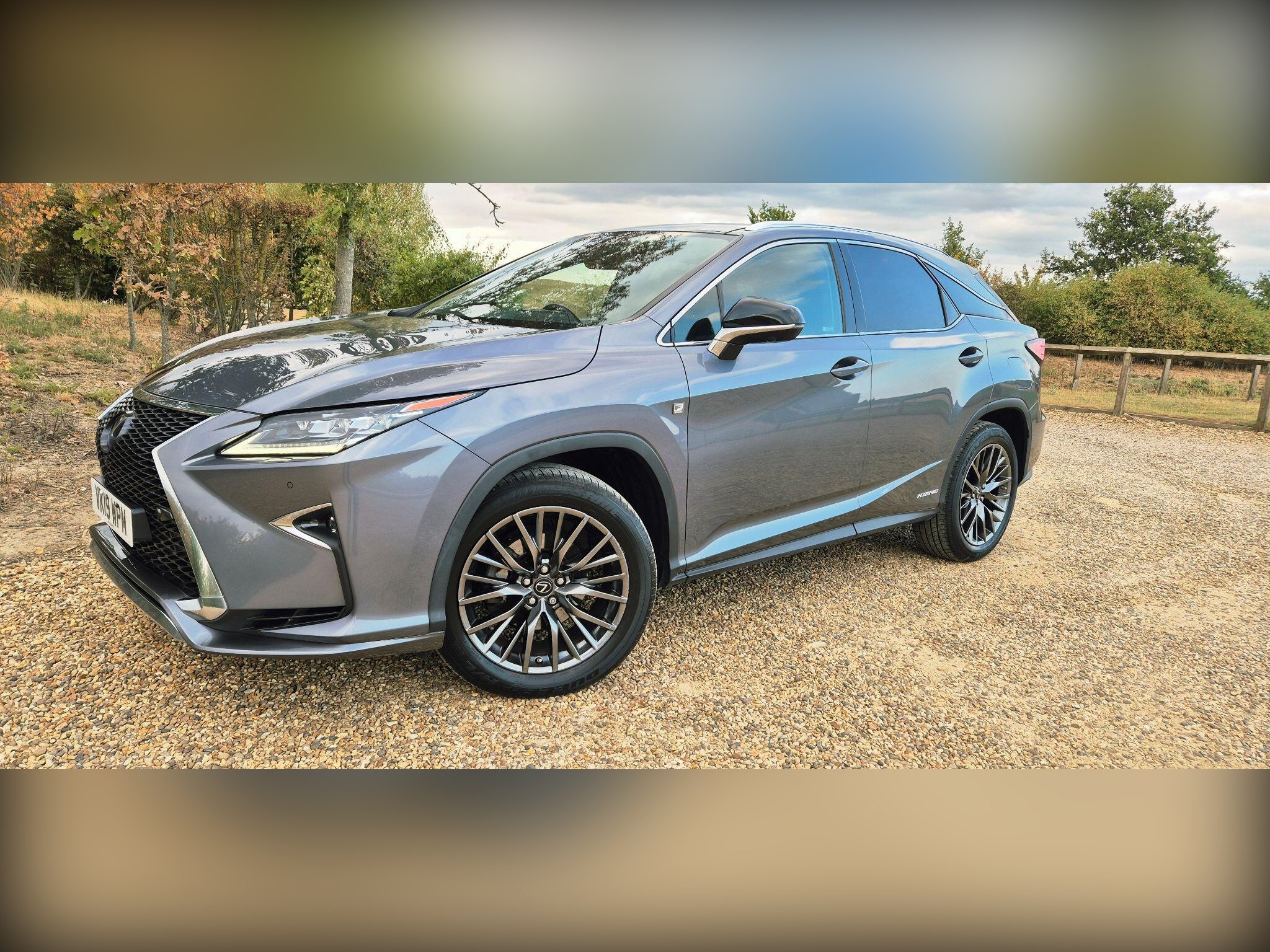 2019 Lexus RX