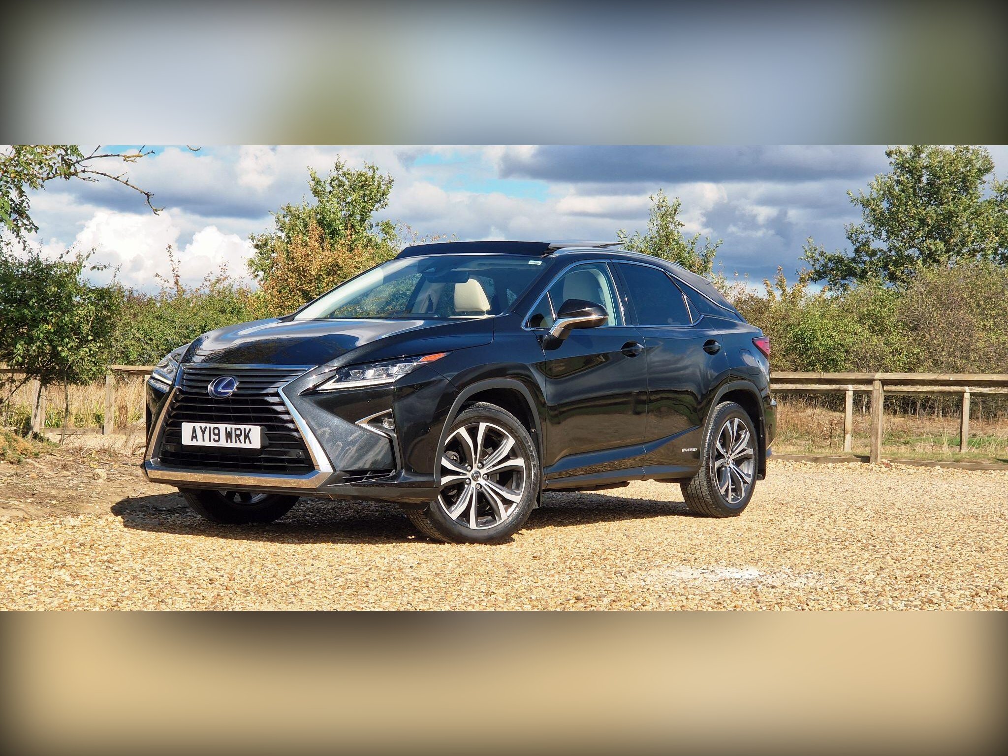 2019 Lexus RX