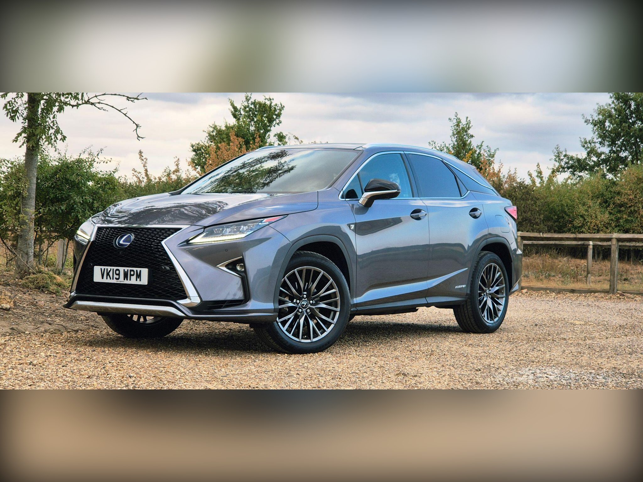2019 Lexus RX